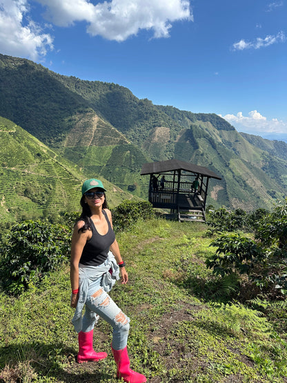 Piracii - Piloncillo