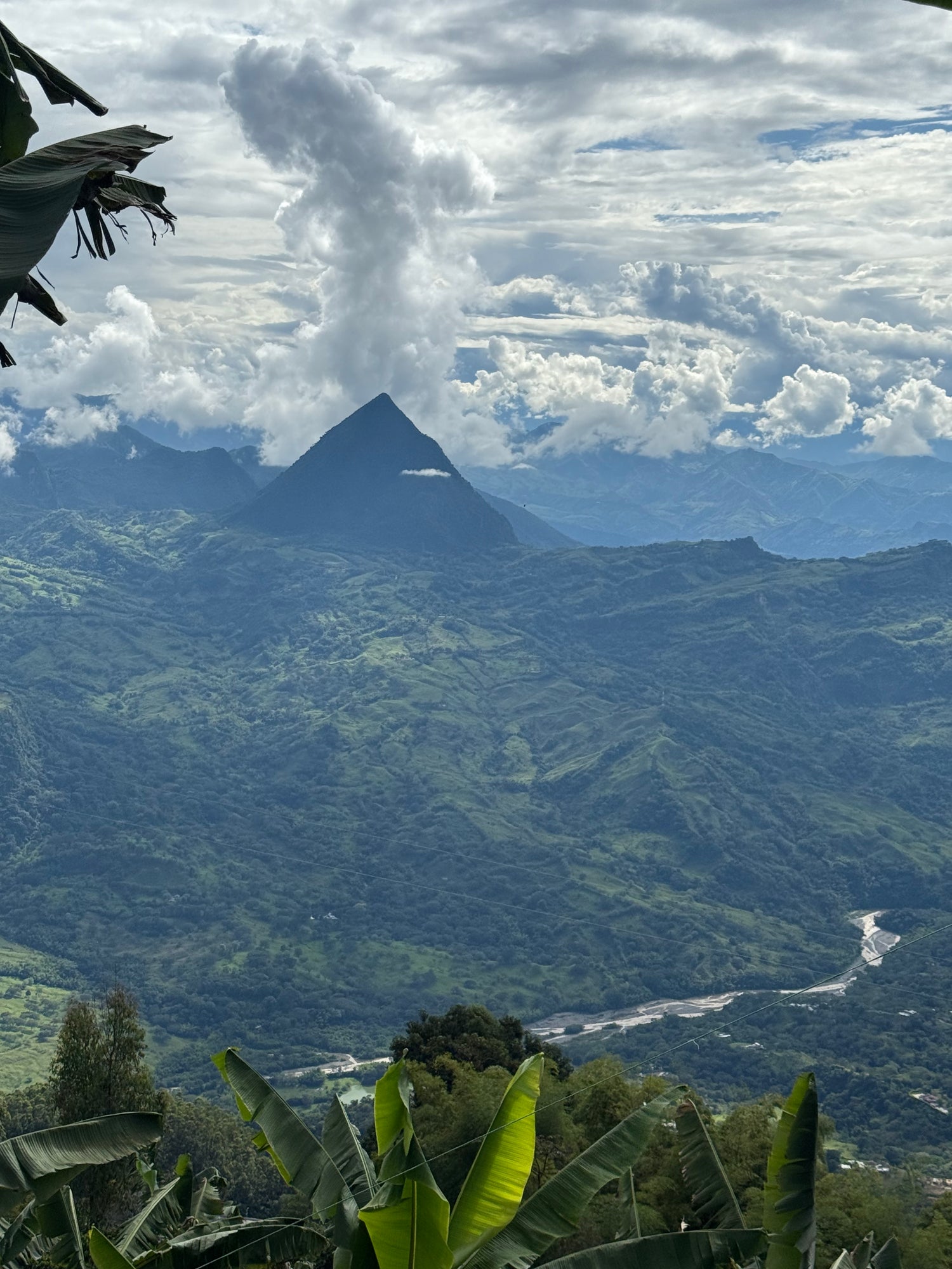 Family Table Collaborative House Brew