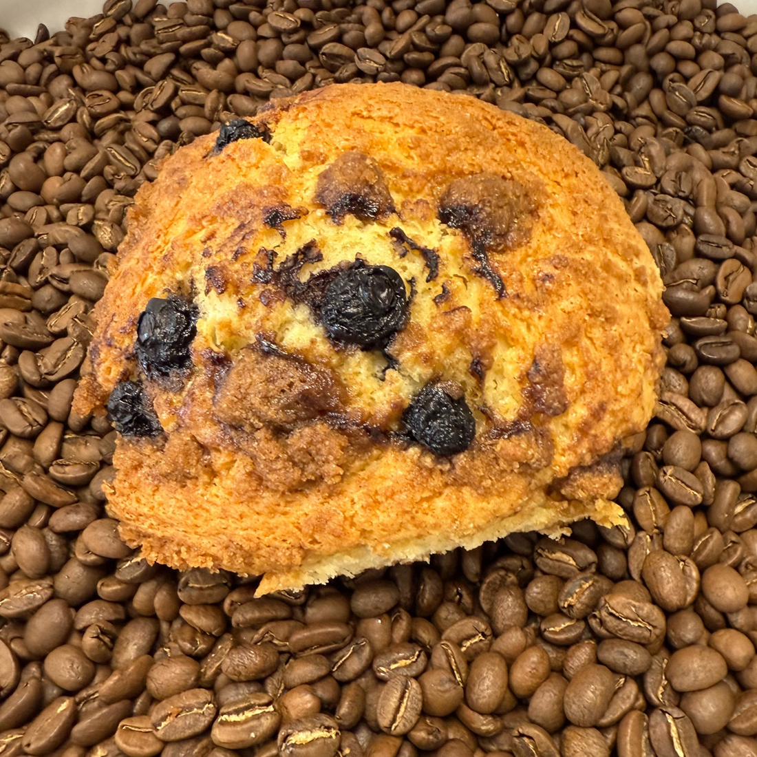 Blueberry Coffee Cake